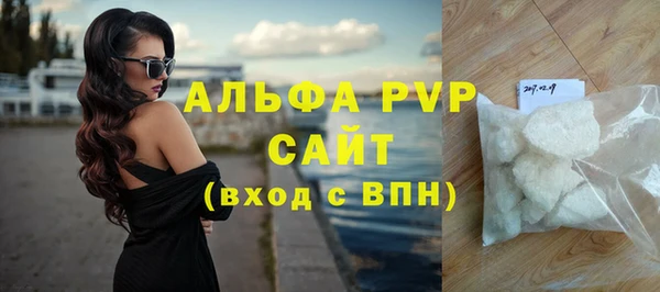 индика Костерёво