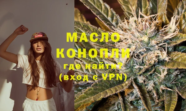 индика Костерёво