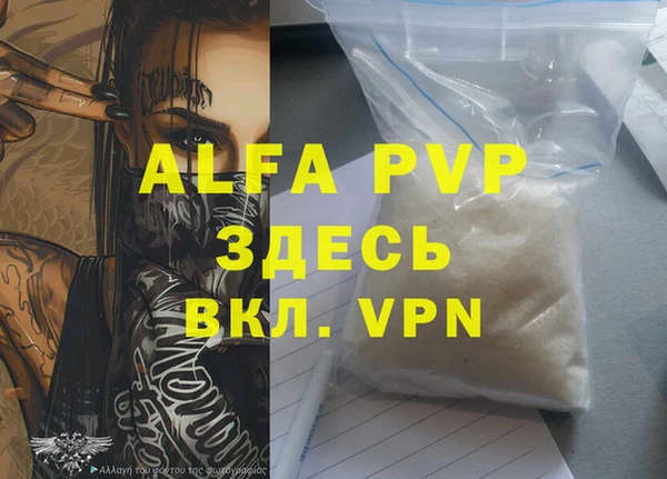 индика Костерёво