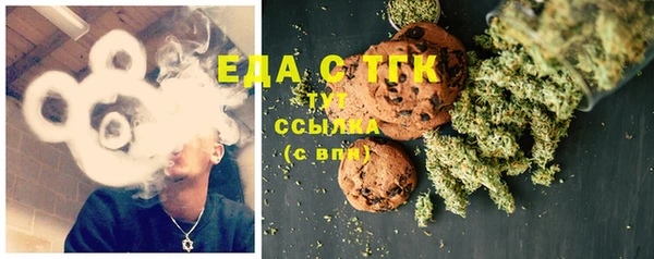индика Костерёво