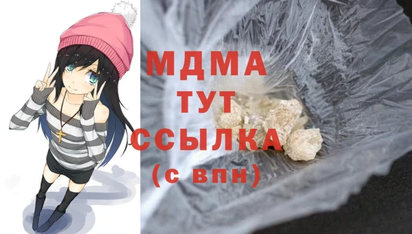 индика Костерёво