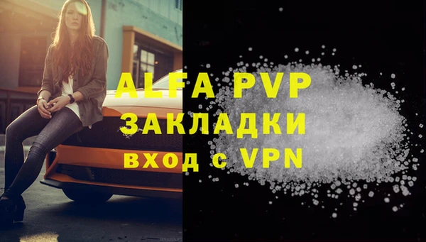 индика Костерёво