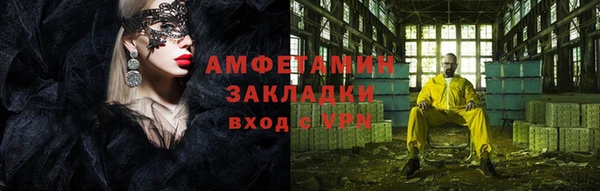 индика Костерёво